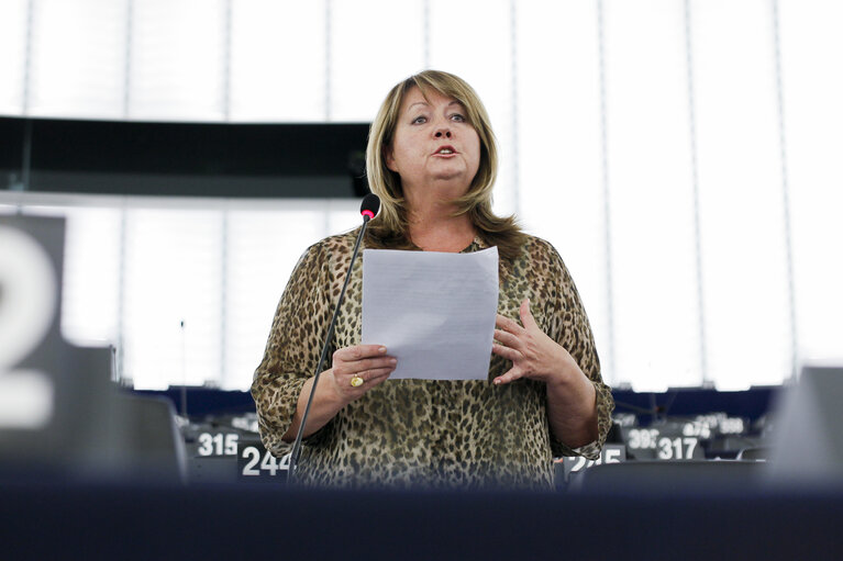 Fotografia 3: Plenary session in Strasbourg - Week 37  2015 - Assessment of the 2012 European Year for active ageing and solidarity between generations