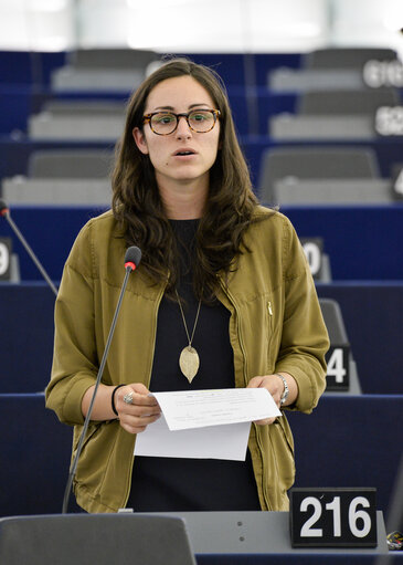 Fotografia 17: Plenary session week 28 2015 in Strasbourg - Resource efficiency: moving towards a circular economy