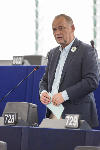 Plenary session week 28 2015 in Strasbourg