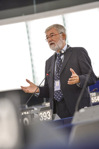 Plenary session week 28 2015 in Strasbourg