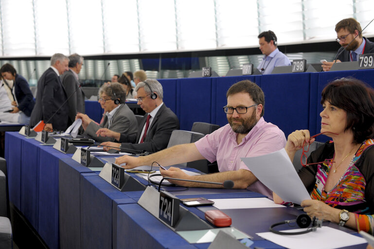 Foto 2: Sion SIMON in plenary session week 28 2015 in Strasbourg