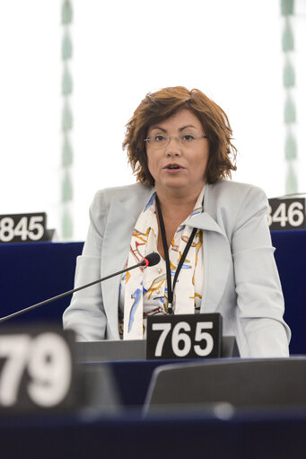 Plenary session week 28 2015 in Strasbourg