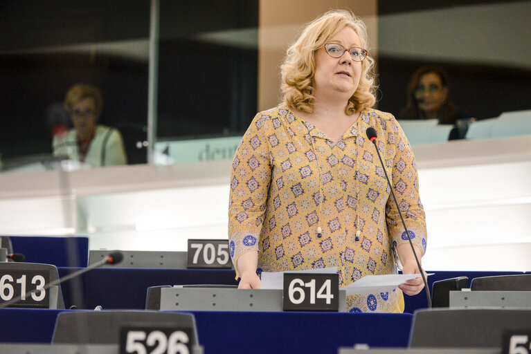 Fotografia 9: Plenary session week 28 2015 in Strasbourg