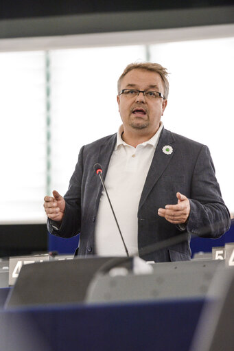 Fotografia 18: Plenary session week 28 2015 in Strasbourg