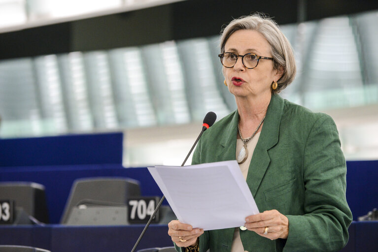 Plenary session week 28 2015 in Strasbourg