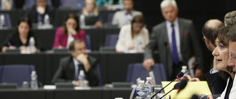 Foto 13: Meeting of the Croatian Delegation in the European Parliament - Session of the Paneuropean Working Group of the European People's Party on the Topic of the 'Two years membership of Croatia'