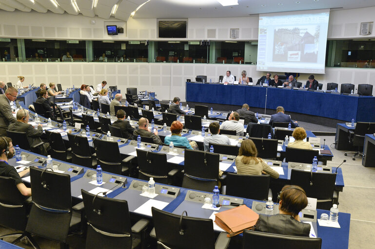 Photo 3 : Meeting of the Minority Intergroup