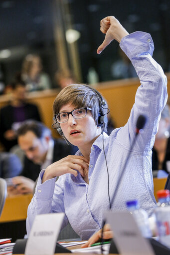 Photo 12 : JURI  Vote on the harmonisation of certain aspects of copyright and related rights in the information society