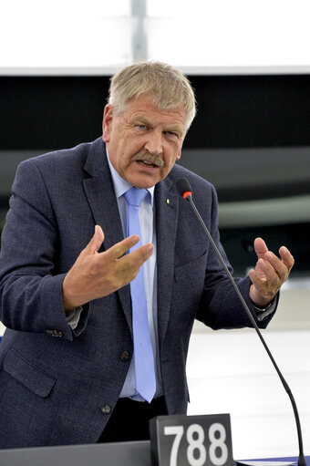 Fotografia 10: Plenary session week 24 2015 in Strasbourg - Strategic military situation in the Black Sea Basin following the illegal annexation of Crimea by Russia