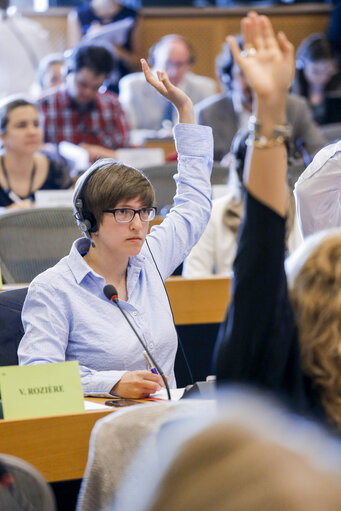 Photo 28 : JURI  Vote on the harmonisation of certain aspects of copyright and related rights in the information society