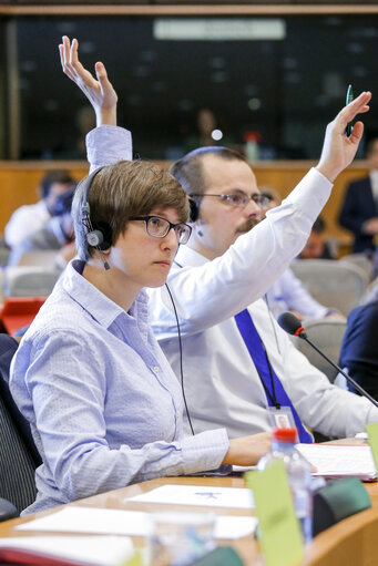 Photo 32 : JURI  Vote on the harmonisation of certain aspects of copyright and related rights in the information society