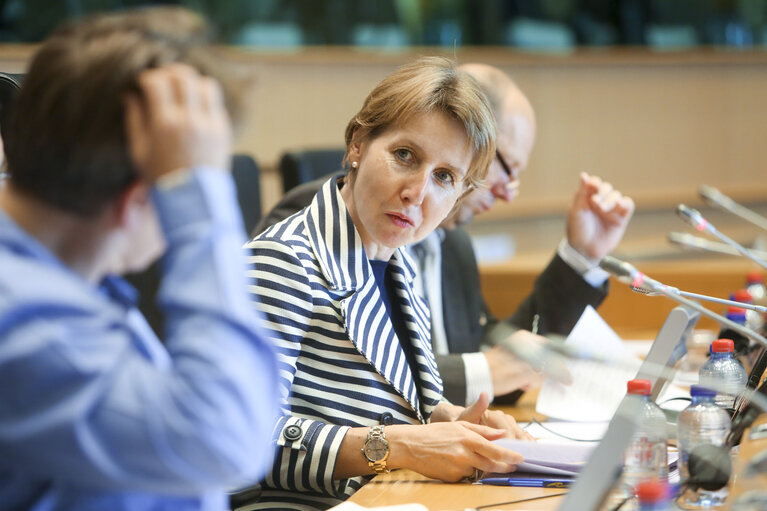 Photo 8: 1st meeting of the EP working-group on cross-border cooperation ' Digital agenda in border areas '