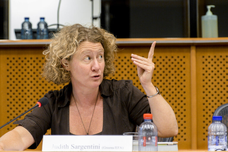 Zdjęcie 5: Fair Politics Event ' More Mobility for Development! PCD in practice; making the EU mobility partnerships a tool for development '