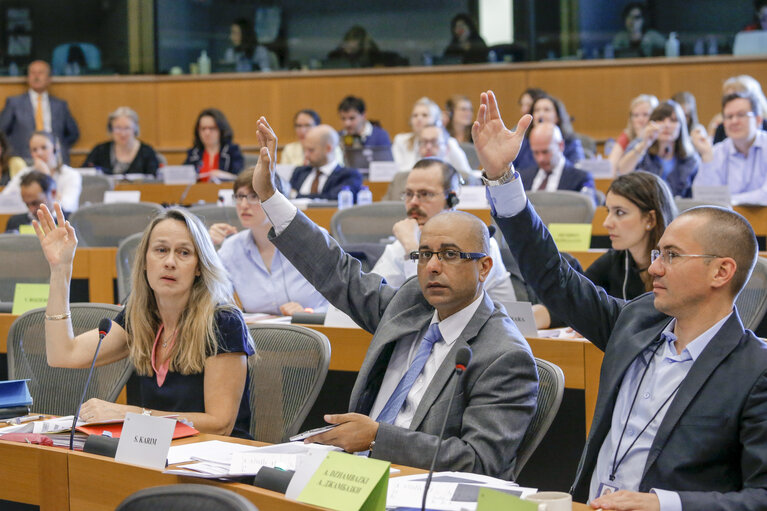 Photo 17 : JURI  Vote on the harmonisation of certain aspects of copyright and related rights in the information society