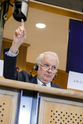 Photo 21 : JURI  Vote on the harmonisation of certain aspects of copyright and related rights in the information society