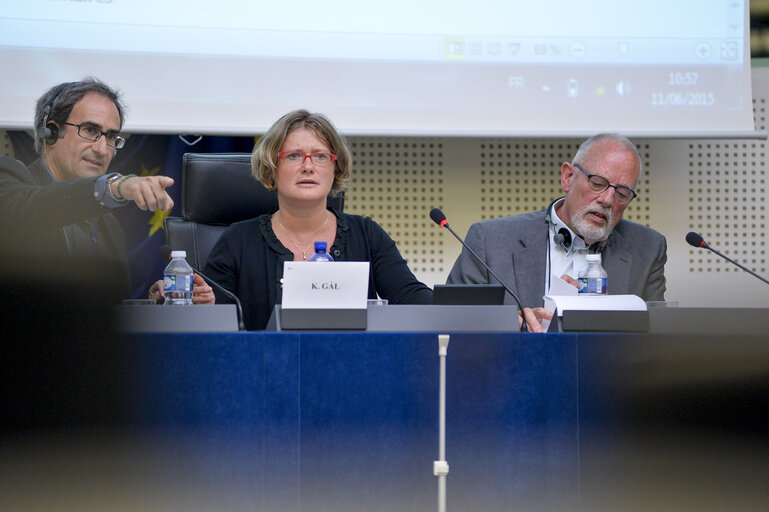 Fotografi 1: Meeting of the Minority Intergroup