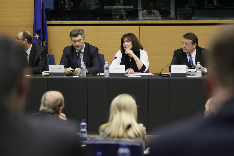 Foto 10: Meeting of the Croatian Delegation in the European Parliament - Session of the Paneuropean Working Group of the European People's Party on the Topic of the 'Two years membership of Croatia'