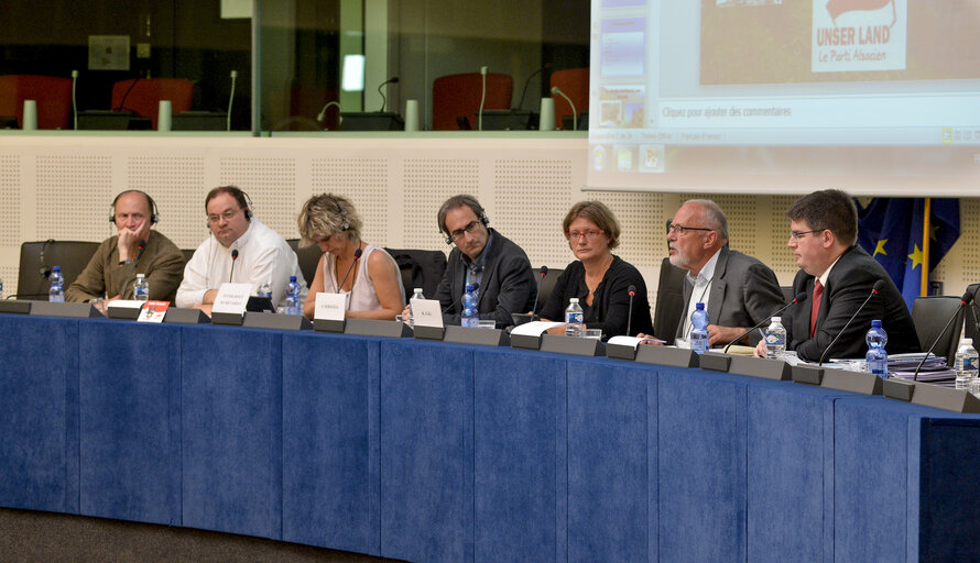 Photo 6 : Meeting of the Minority Intergroup