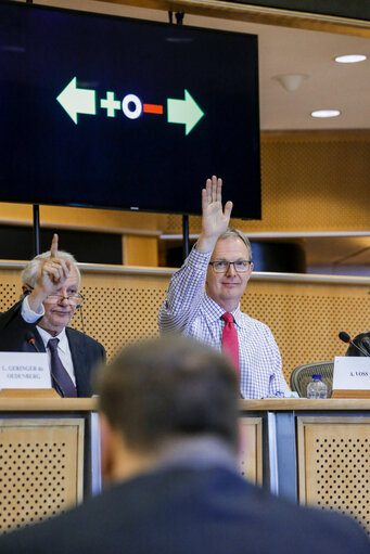 Photo 14 : JURI  Vote on the harmonisation of certain aspects of copyright and related rights in the information society