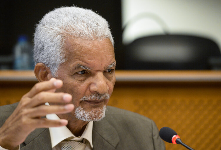 Zdjęcie 31: Fair Politics Event ' More Mobility for Development! PCD in practice; making the EU mobility partnerships a tool for development '