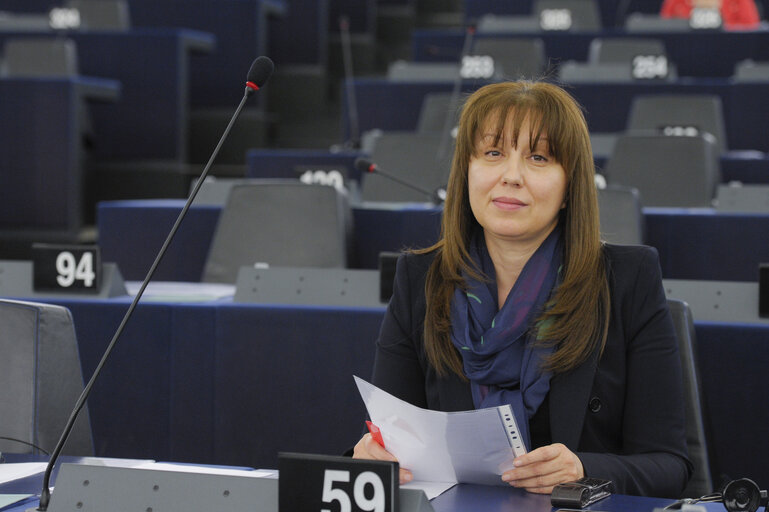 Billede 6: Plenary session in Strasbourg - week 24  2015