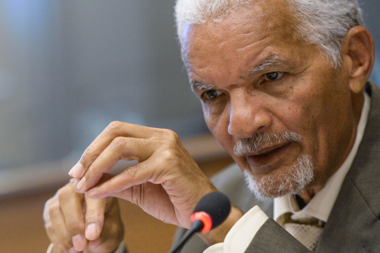 Zdjęcie 27: Fair Politics Event ' More Mobility for Development! PCD in practice; making the EU mobility partnerships a tool for development '