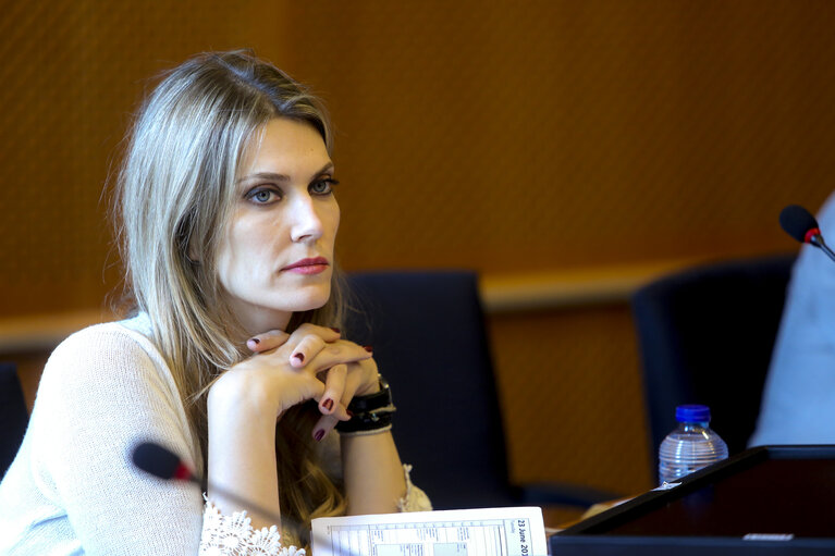 Meeting ' Informal assessment of the situation of the Greek economy and the most probable scenarios '