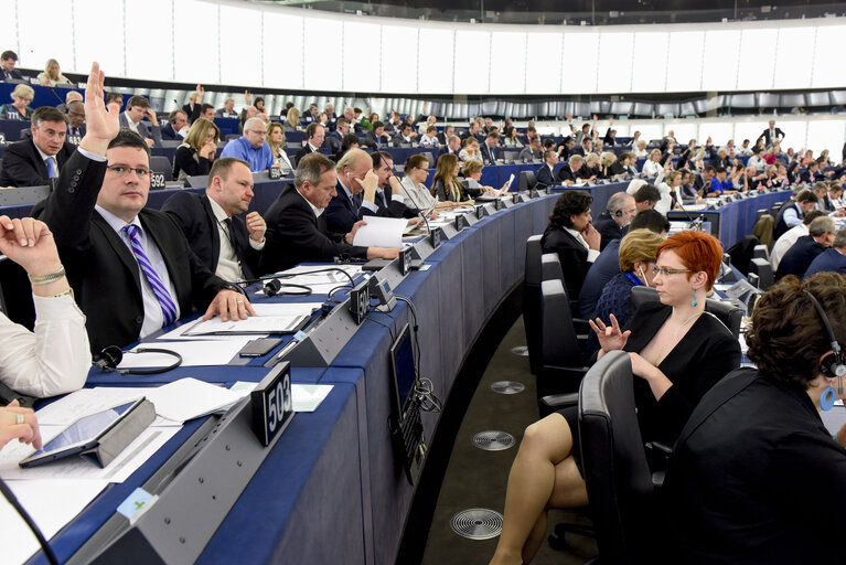 Photo 1 : Sign language in Plenary session week 24 2015 in Strasbourg