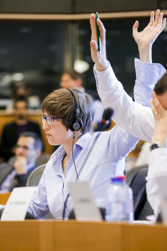 Photo 25 : JURI  Vote on the harmonisation of certain aspects of copyright and related rights in the information society