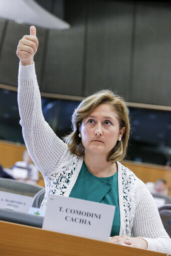 Photo 20 : JURI  Vote on the harmonisation of certain aspects of copyright and related rights in the information society