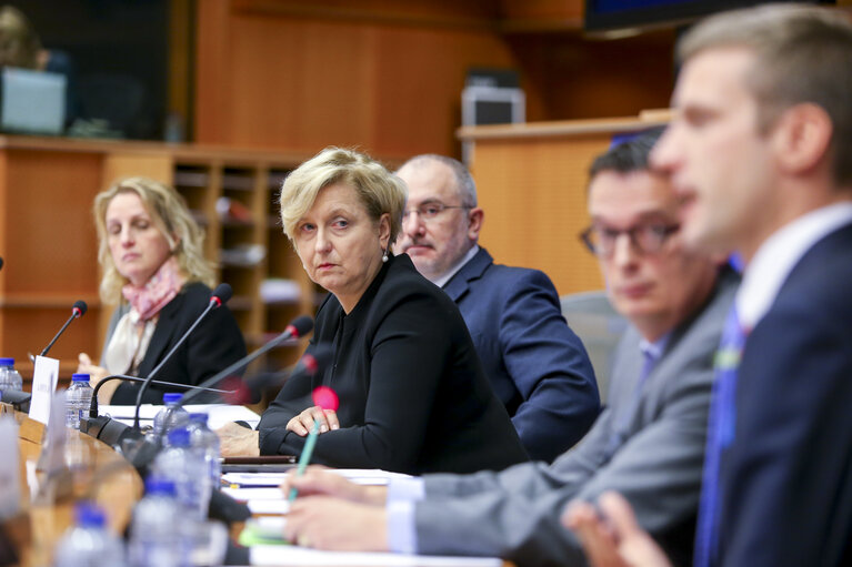 Fotografija 10: SEDE Public hearing ' Afghanistan: the future of the EUPOL mission '