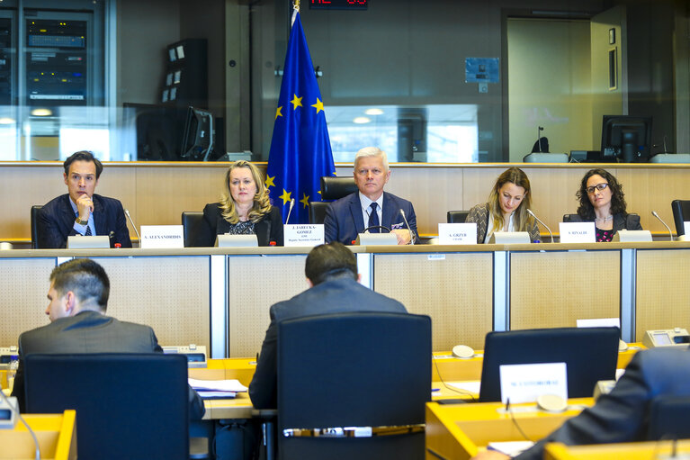 Fotogrāfija 7: DROI Subcommittee debate' Working Group on Eastern Neighbourhood and Enlargement '