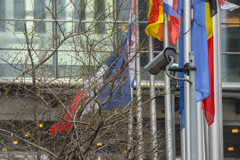 French flag at half mast following the terrorist attacks in Brussels with European and Belgian flags already at half-mast