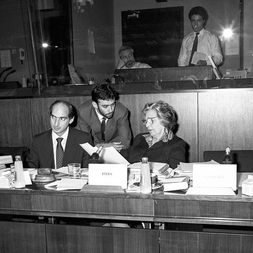 Снимка 2: Portrait of MEP The Baroness ELLES at the European Parliament in Brussels