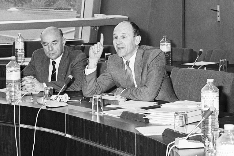 Meeting on ' Single European Act ' at the European Parliament in Strasbourg in May 1987