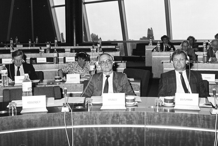 Fotogrāfija 1: Committee on Petitions meeting at the EP in Luxembourg