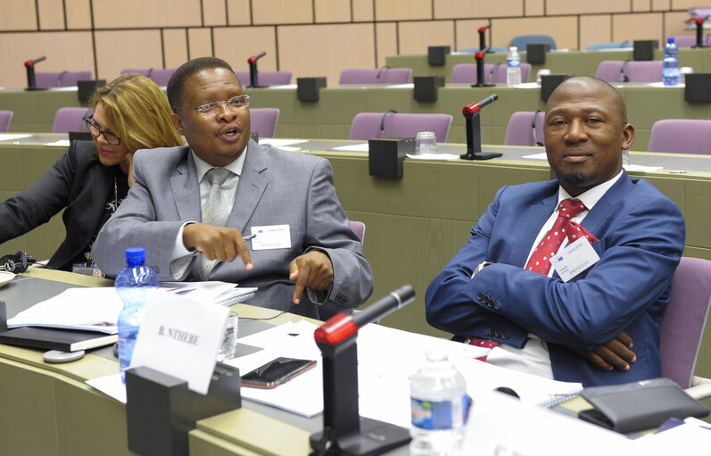 Valokuva 20: 23rd EU-South Africa Interparliamentary meeting