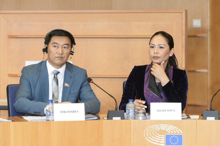 Fotografie 12: 11th EU-KYRGYZ Republic Parliamentary Cooperation Committee