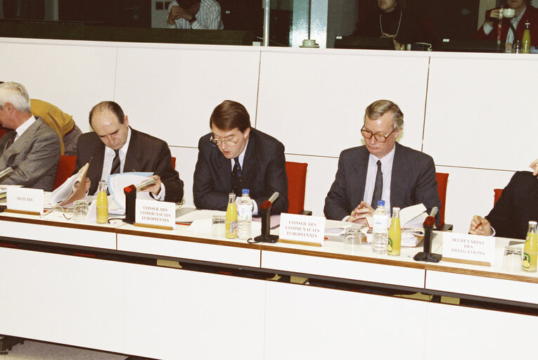 Delegation to the EU-Turkey Joint Parliamentary Committee at the EP in Brussels