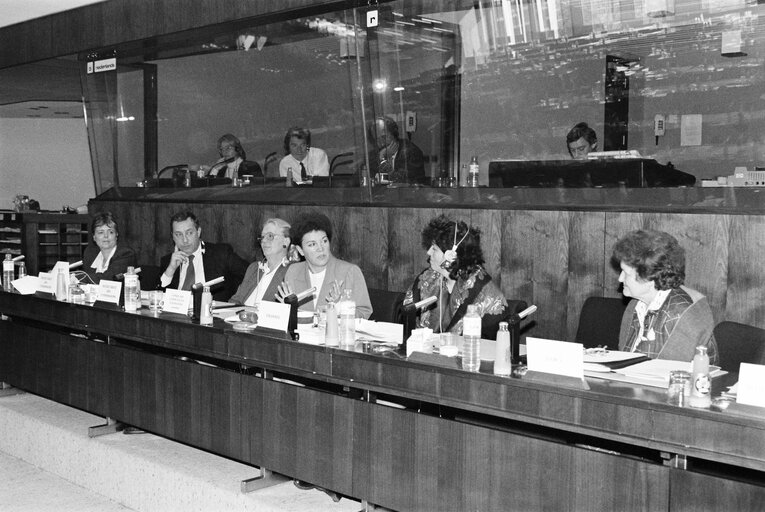 Fotografie 1: Meeting at the European Parliament