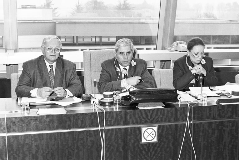 Fotografija 1: Meeting at the European Parliament