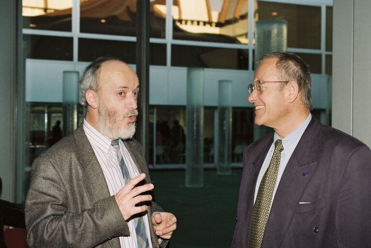 Valokuva 1: German observers in the European Parliament