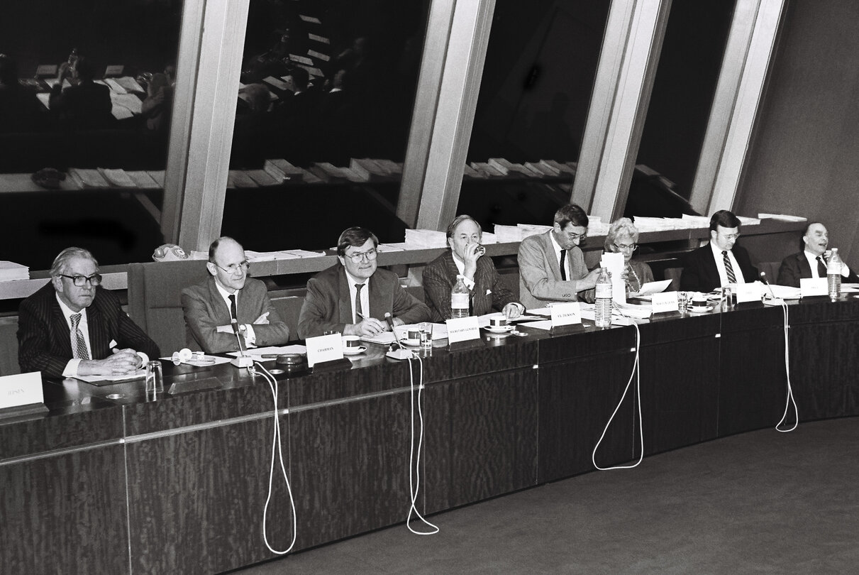 Meeting of the European Democratic Group at the European Parliament in Strasbourg