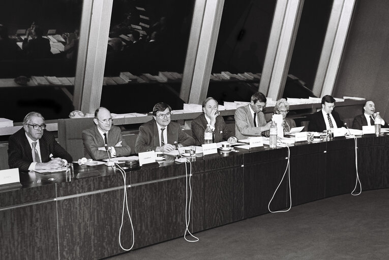 Suriet 1: Meeting of the European Democratic Group at the European Parliament in Strasbourg