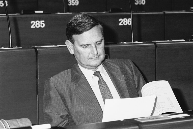 Mep Fran?ßois-Xavier G.M.J.C.H. de DONNEA in the hemicycle