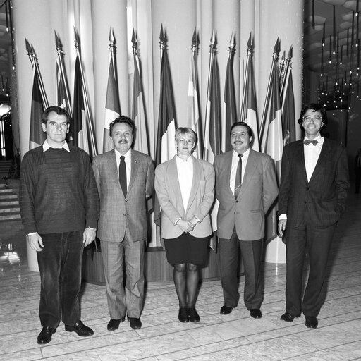 Fotografija 1: Belgian socialists MEPs at the European Parliament in Strasbourg