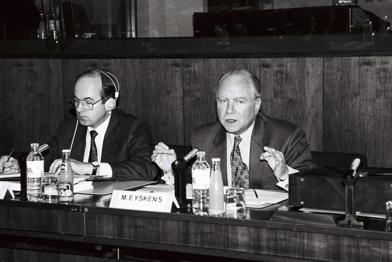 Zdjęcie 3: Press conference at EP in Brussels