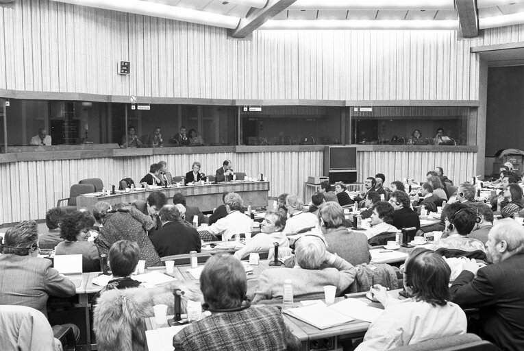 Fotografia 1: Meeting at the European Parliament