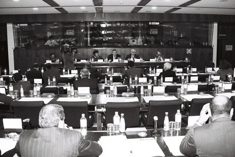 Снимка 1: Committee on Development and Cooperation  in Brussels