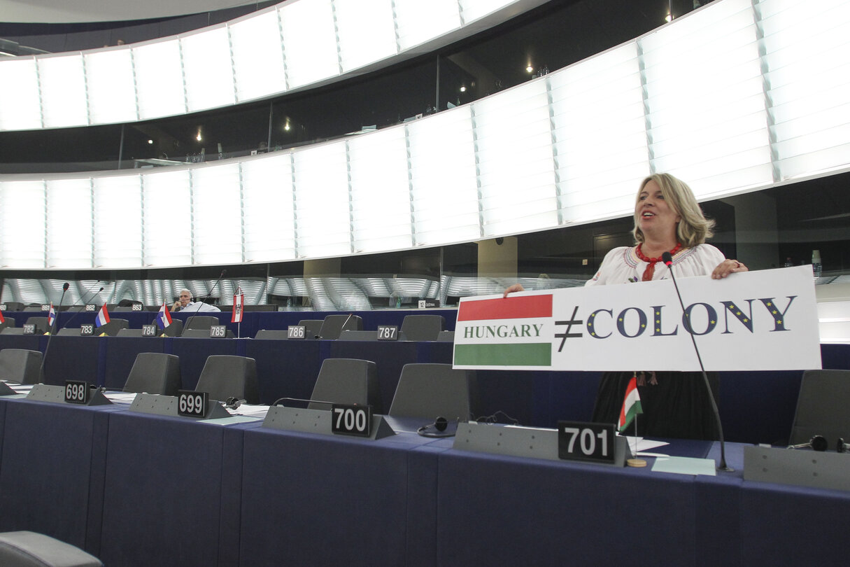 Krisztina MORVAI in plenary session in Strasbourg